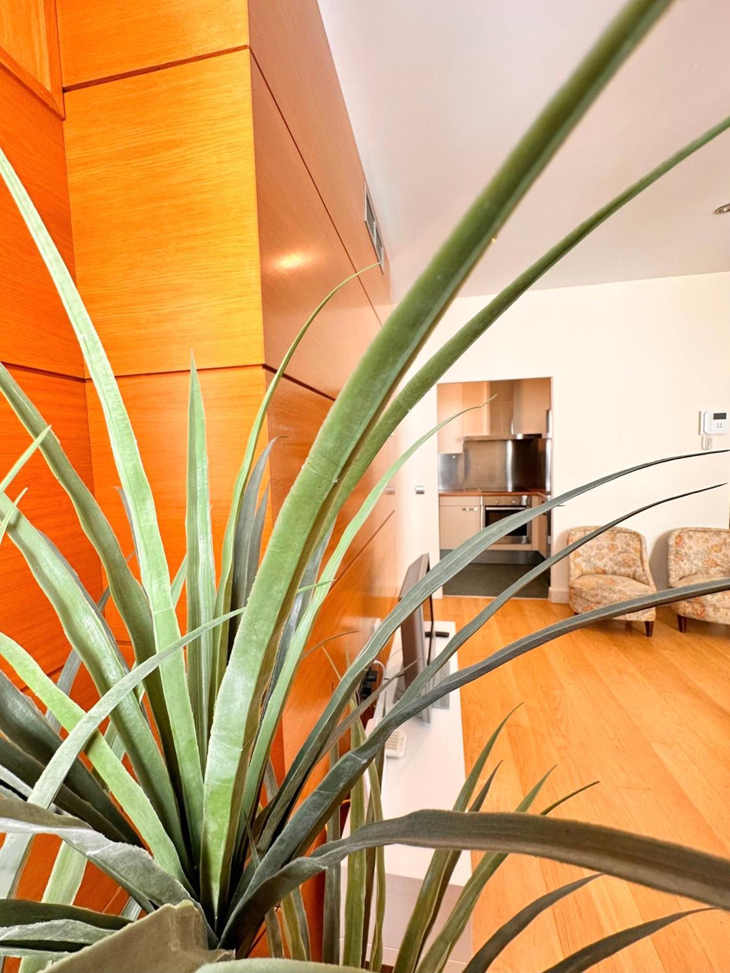 Penthouse Near Cathedral Private Rooftop Private Parking Siviglia Esterno foto